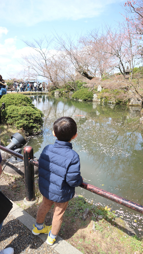 甥っ子写真