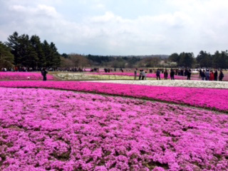 旅立ち