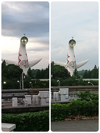 腸内細菌