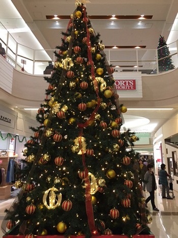12月になりました