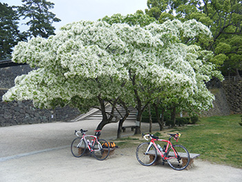 自転車