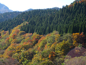 紅葉の大山