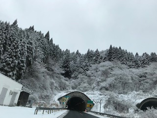 七草がゆ
