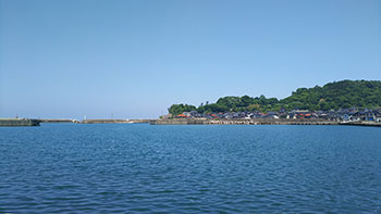 湯梨浜ヒラメ