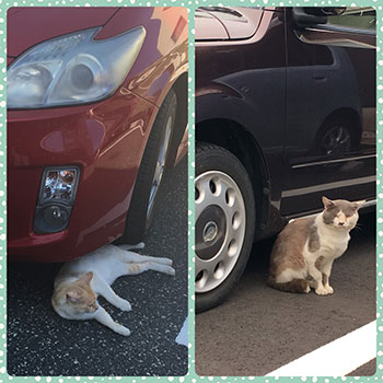 急に思い出話