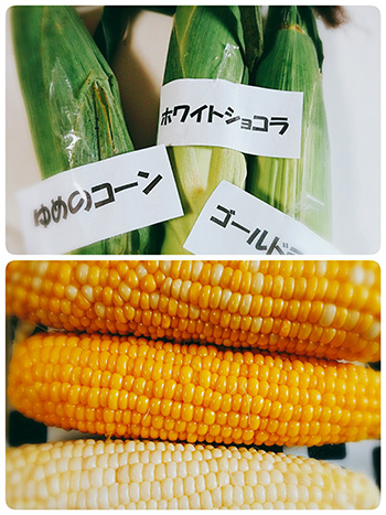 幸せの贈り物