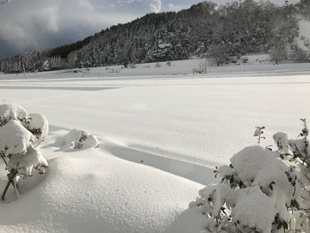 住みたい田舎