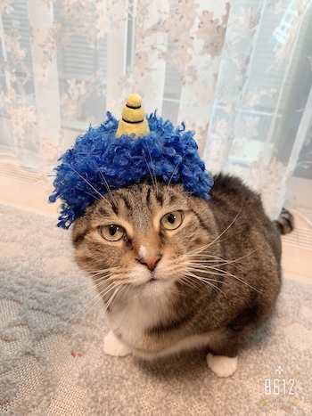 今年の節分
