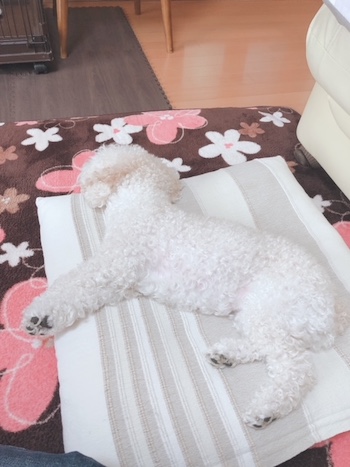 はじめまして