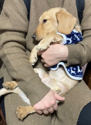 3月近況報告_01
