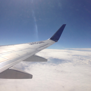 飛行機からの景色