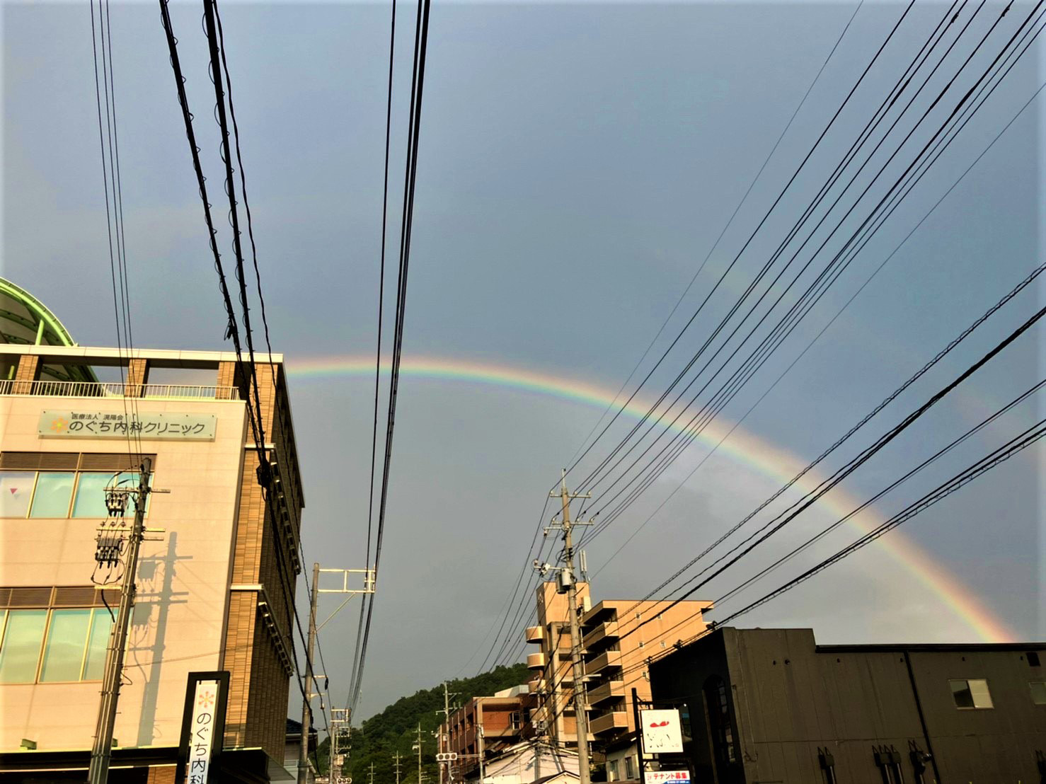 虹